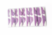 Picture of Naseem Tissues – 300 Sheets | Pack of 5 × 10 Bundles